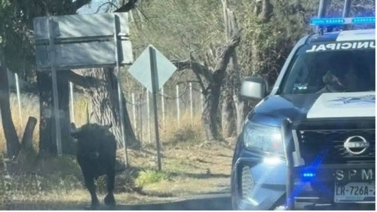 J. ASCENCIÓN (CHONITO)    1943  -  2026