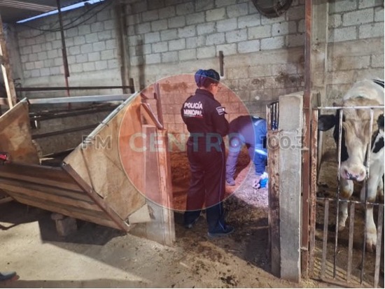 EDUARDO TEÓFILO N.             1946  -  2026