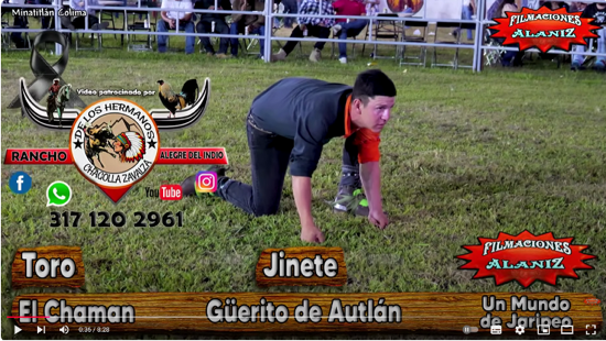 GUERITO DE AUTLÁN           XXXX  -  2024