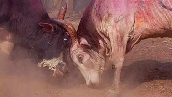 KHANDU RAMCHANDRA JHAMPALWAD         2009  -  2026