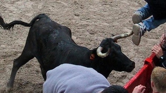 MUERE ANCIANO EN ENCIERRO DE GELSA EN 2025 MUERE ANCIANO EN ENCIERRO DE GELSA EN 2025