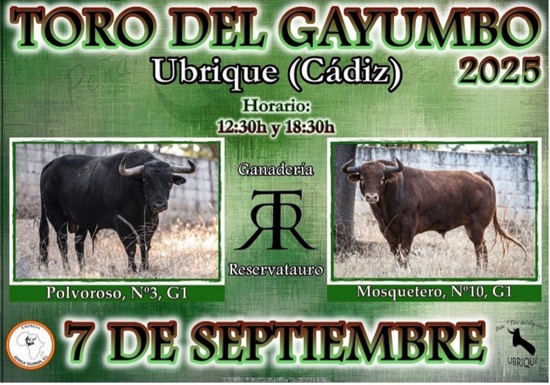 MUERE EN UBRIQUE EN LAS FIESTAS DEL TORO DEL GAYUMBO DE 2025 MUERE EN UBRIQUE EN LAS FIESTAS DEL TORO DEL GAYUMBO DE 2025