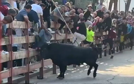 MUERE EN ENCIERRO DE VILLAVICIOSA DE ODON EN 2024