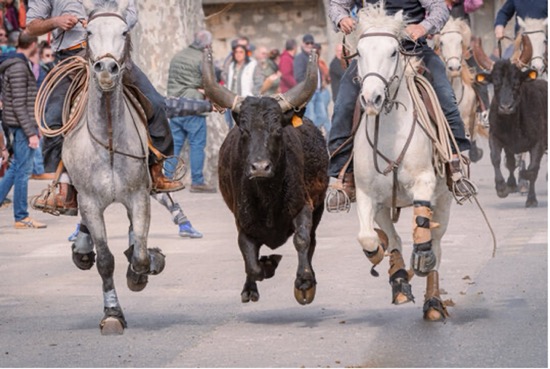 MUERE HOMBRE EN ABRIVADO DE ARAMON, FRANCIA, EN 2025 MUERE HOMBRE EN ABRIVADO DE ARAMON, FRANCIA, EN 2025
