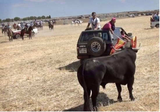 MUERE JOVEN EN ENCIERRO DE CAMPO DE EL CASAR EN 2024