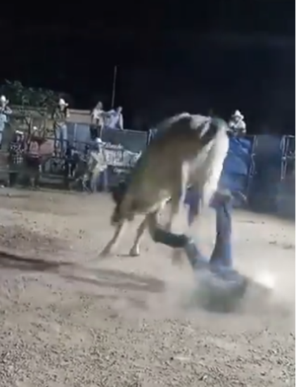 MUERE EL MONTADOR DE TOROS GUERRERENSE JONÁS DE 22 AÑOS EN 2024