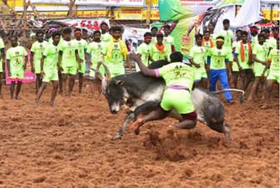 P. MURUGANANTHAM 2001 - 2025 P. MURUGANANTHAM 2001 - 2025