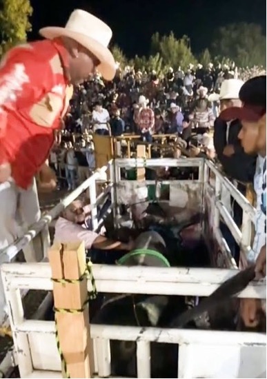 ROBERTO H. C.              1991  -  2025