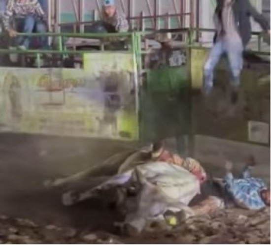 RODOLFO CHÁVEZ RAMOS (LA GATA)