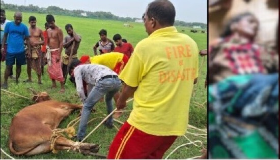 SARASWATI NAYAK         XXXX  -  2025