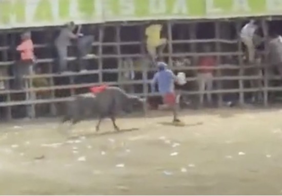 UBALDO MONTALVO LOZANO (EL TOPO)