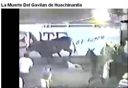MONTADOR DESCONOCIDO " EL GAVILÁN DE PUEBLA "